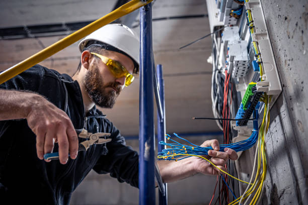 Best Industrial Electrical Services  in Herculaneum, MO