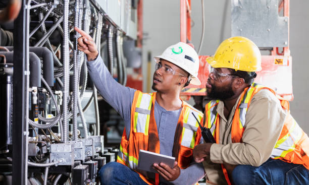 Best Electrical System Inspection  in Herculaneum, MO
