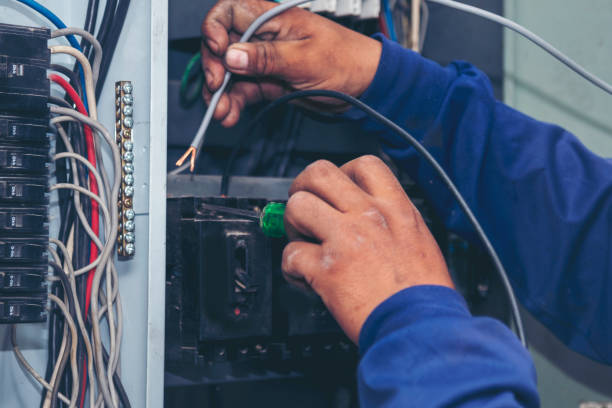 Best Affordable Electrician  in Herculaneum, MO