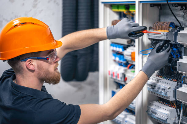 Best Electrician for Home Renovation  in Herculaneum, MO